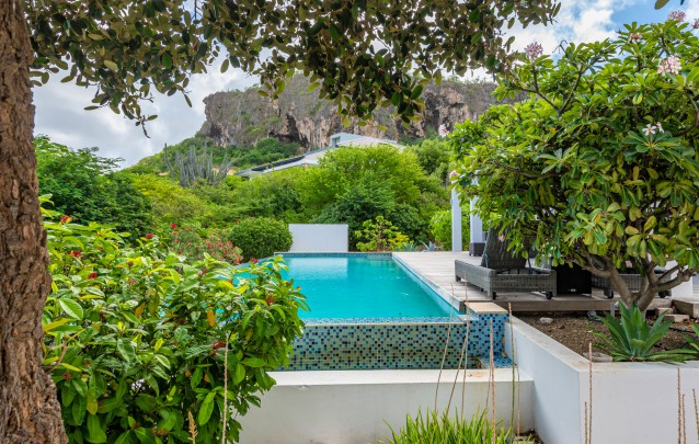 Seru Boca Estate - Prachtige moderne villa te koop op exclusief resort