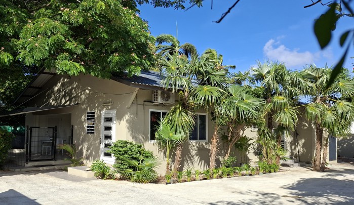 Cas Coraweg 131 &ndash; Multifunctional Property in a Central Location