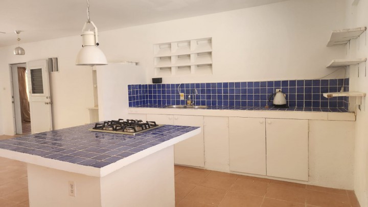 Vista Royal - Spacious 1-Bedroom Main Floor Apartment 