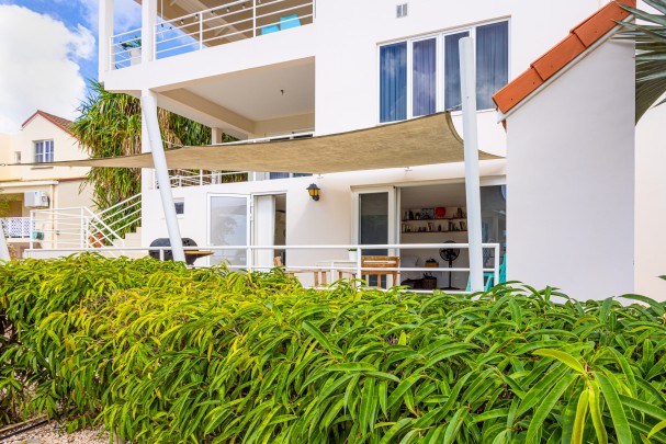 Royal Palm: Charming furnished studio with terrace for rent