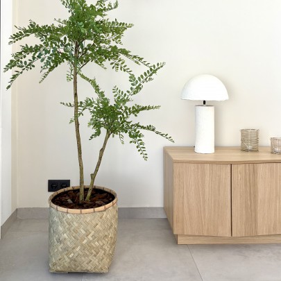 The Bank &ndash; Gemeubileerd 2 slaapkamer appartement