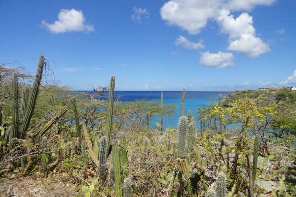 Lagun semi-detached homes with private path to Playa Jeremi