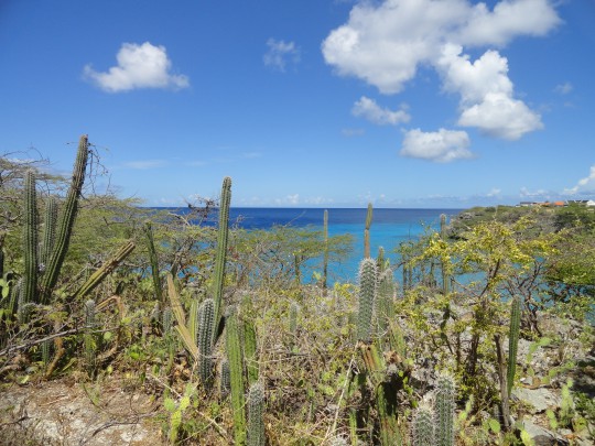Lagun semi-detached homes with private path to Playa Jeremi