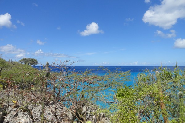 Lagun semi-detached homes with private path to Playa Jeremi