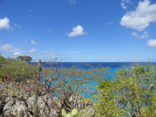 Lagun semi-detached homes with private path to Playa Jeremi