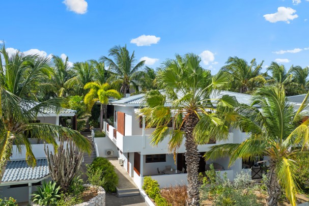 Spacious 2-bedroom apartment with large terrace in Cocolora