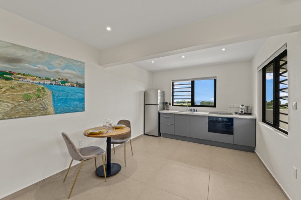 Vista Papaya Suites – Turnkey Multi-Unit Vastgoedobject in Westpunt