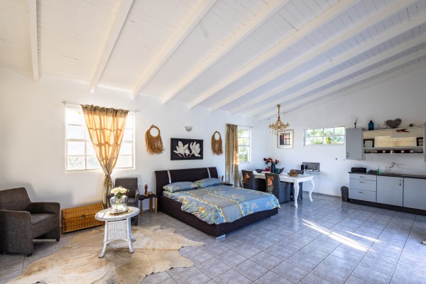 Lovely Fully Furnished Apartment with Panoramic Terrace – Sun Valley