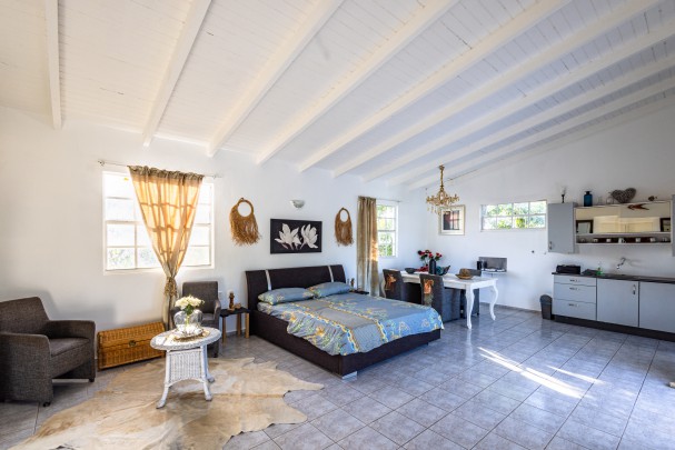 Lovely Fully Furnished Apartment with Panoramic Terrace &ndash; Sun Valley