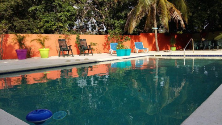 B&B in Original tropical house with 2 apartments and swimming pool