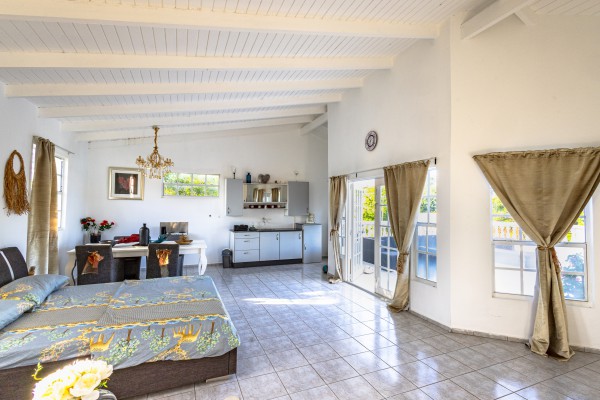 Lovely Fully Furnished Apartment with Panoramic Terrace – Sun Valley