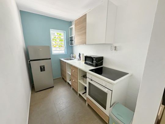 Hoenderberg - Fully renovated student house with apartments