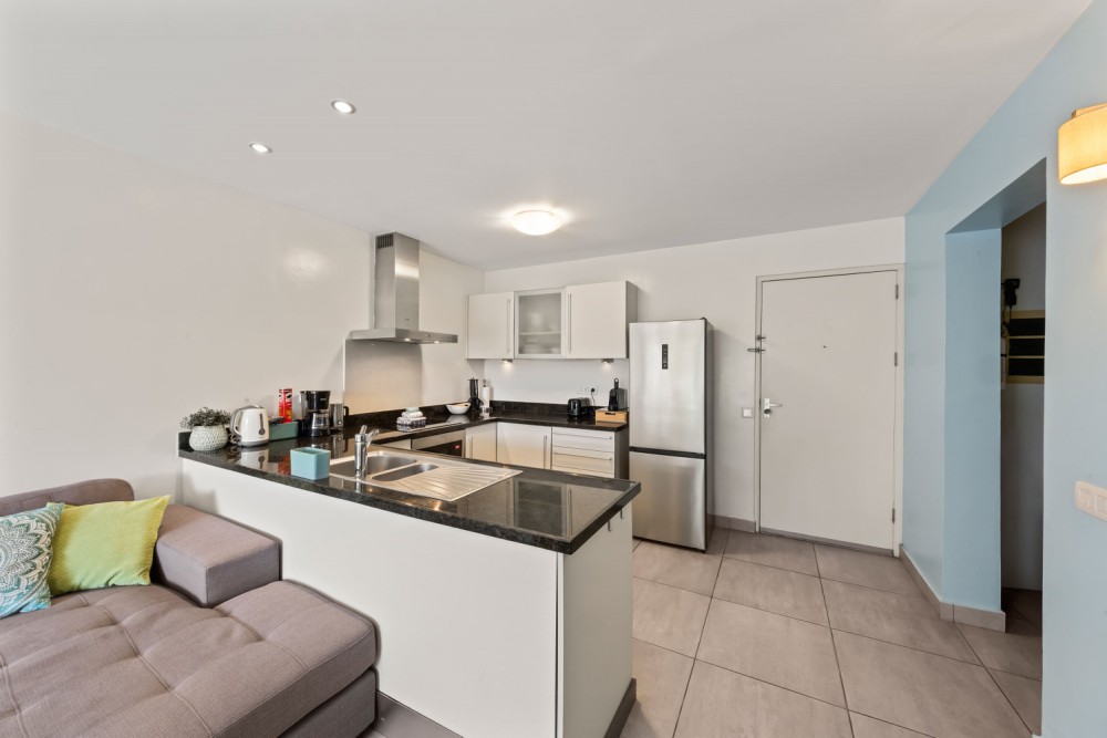 Fully Furnished 1-Bedroom Apartment with Holiday Rental Potential photo 6