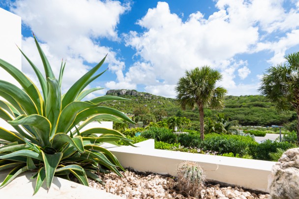 Green View – Luxe 2-slaapkamer appartement met prachtig uitzicht