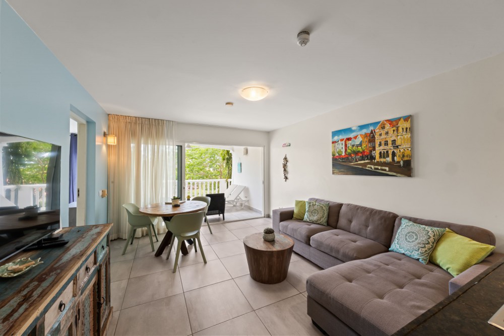 Fully Furnished 1-Bedroom Apartment with Holiday Rental Potential photo 7