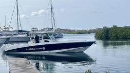 Boston Whaler 375 for sale in Curacao
