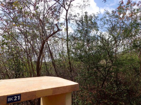 Blue Bay BK-21 - Spacious lot on main road of Blue Bay Resort 