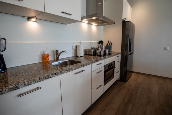Blije Rust II - 2 bedroom apartment in resort with pool for sale