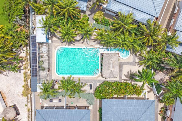 Spacious apartment with pool for rent in Jan Thiel - near beaches!
