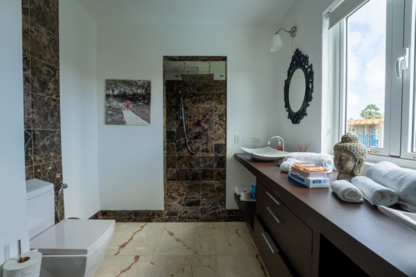 Luxury Furnished Villa with Private Pool in Vista Royal – Jan Thiel