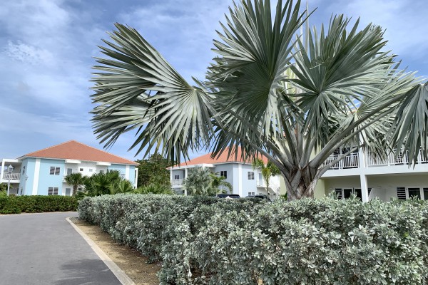 Blije Rust II - 2-bedroom apartment on private resort with pool