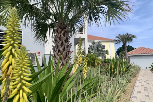 Blije Rust II - 2-bedroom apartment on private resort with pool