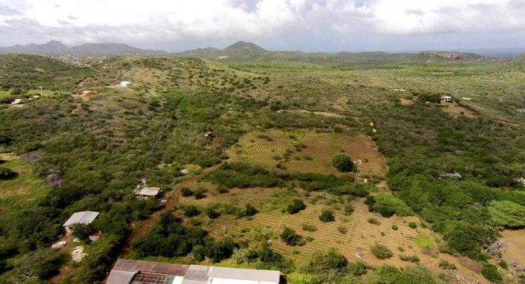 Banda Abou - large land for sale with flexible usage rights