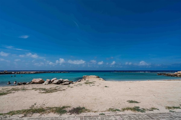 Royal Palm Resort - Luxurious 1 bedroom apartment with private terrace