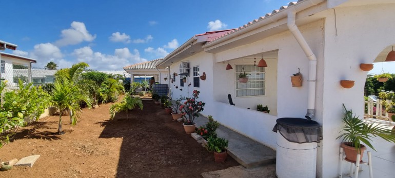 Pittoresk huisje te koop met veel potentieel in Bonam, Curaçao 