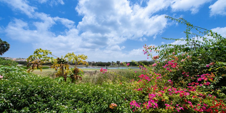 Blue Bay Village – Ruim appartement met goede verhuur mogelijkheden