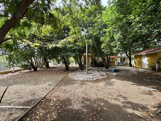 Spacious 4-Bedroom Home with Rooftop Terrace and Garden