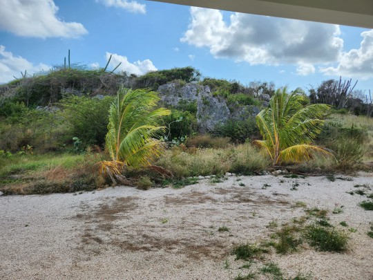 New Modern House for Rent in Harmony Resort