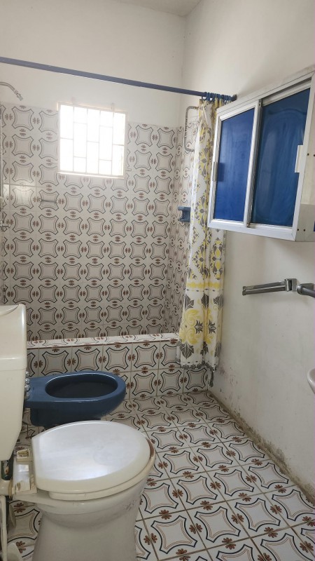 Fixer-Upper with Separate Apartment photo 11