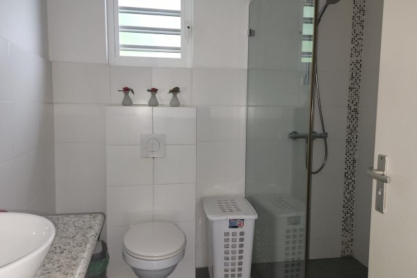 Nieuw Nederland: Centraal gelegen, gemeubileerd 1-slaapkmr appartement