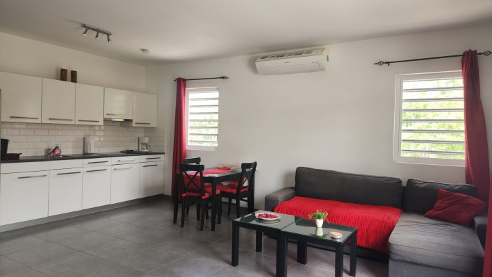 Nieuw Nederland - Centrally located furnished 1-Bedroom apartments 