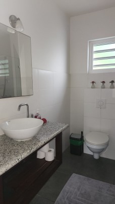 Nieuw Nederland - Centrally located furnished 1-Bedroom apartments 