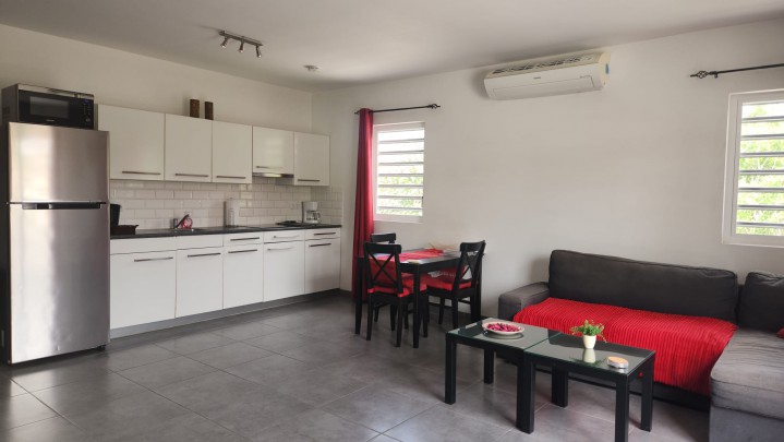 Nieuw Nederland - Centrally located furnished 1-Bedroom apartments 