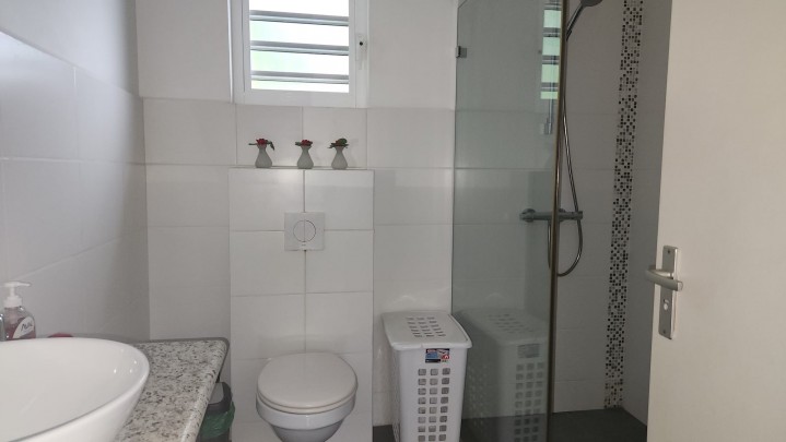 Nieuw Nederland - Centrally located furnished 1-Bedroom apartments 