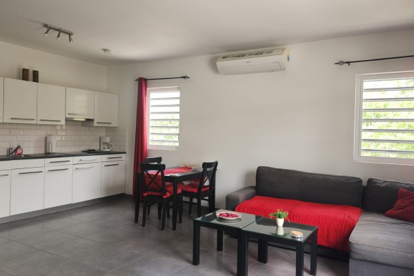 Nieuw Nederland: Centraal gelegen, gemeubileerd 1-slaapkmr appartement