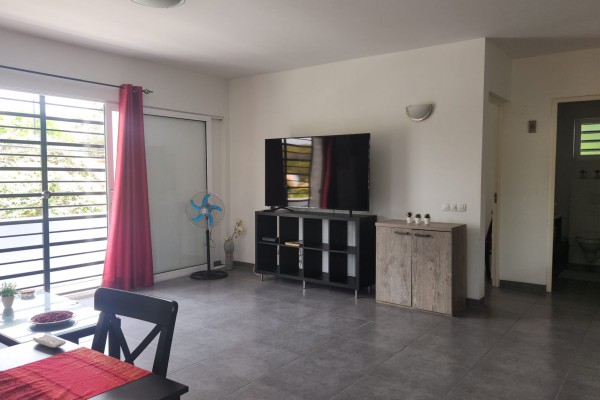 Nieuw Nederland: Centraal gelegen, gemeubileerd 1-slaapkmr appartement