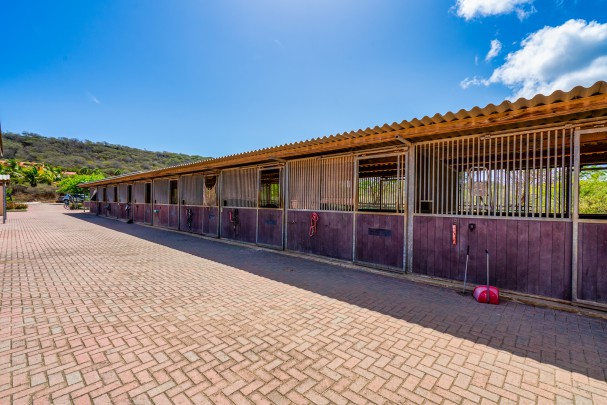 Private resort - large mansion and 6 houses -horse ranch for 12 horses